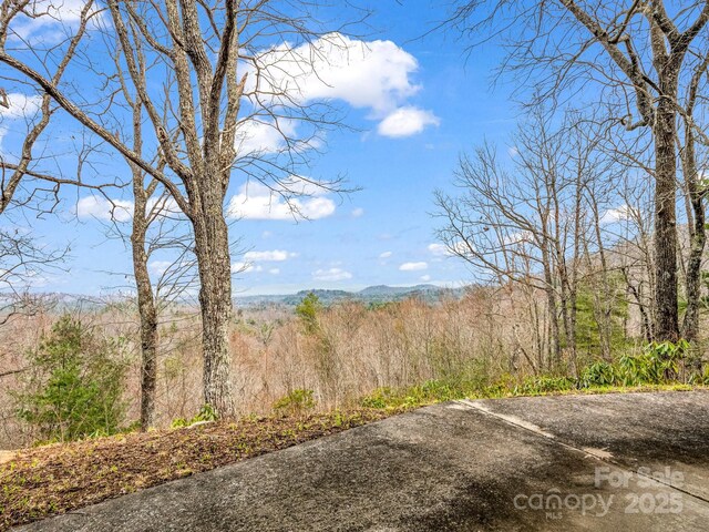 675 Foster Hill Dr, Hendersonville, NC 28739 - view of yard featuring a wooded view