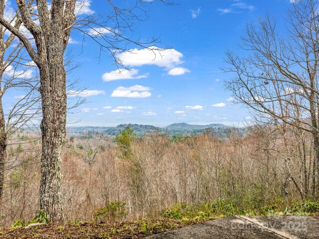 675 Foster Hill Dr, Hendersonville, NC 28739 - view of mountain feature with a view of trees