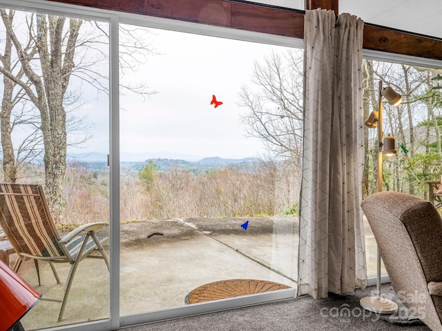 675 Foster Hill Dr, Hendersonville, NC 28739 - exterior space featuring a view of trees