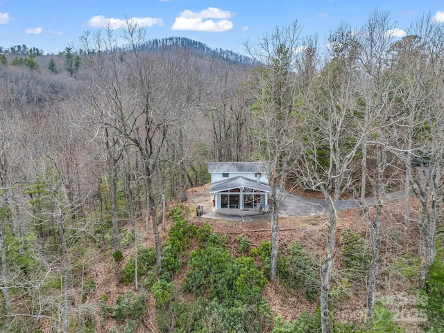675 Foster Hill Dr, Hendersonville, NC 28739 - exterior space with a wooded view
