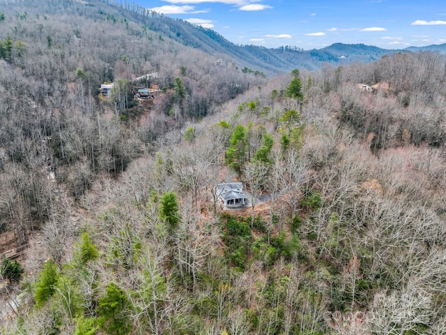 675 Foster Hill Dr, Hendersonville, NC 28739 - birds eye view of property with a mountain view and a wooded view