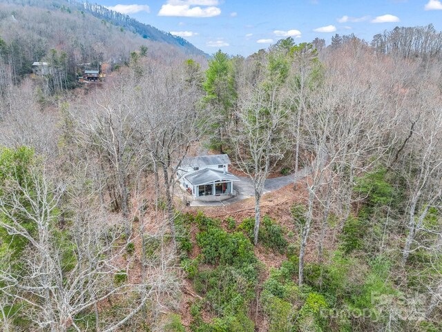 675 Foster Hill Dr, Hendersonville, NC 28739 - bird's eye view with a mountain view and a wooded view