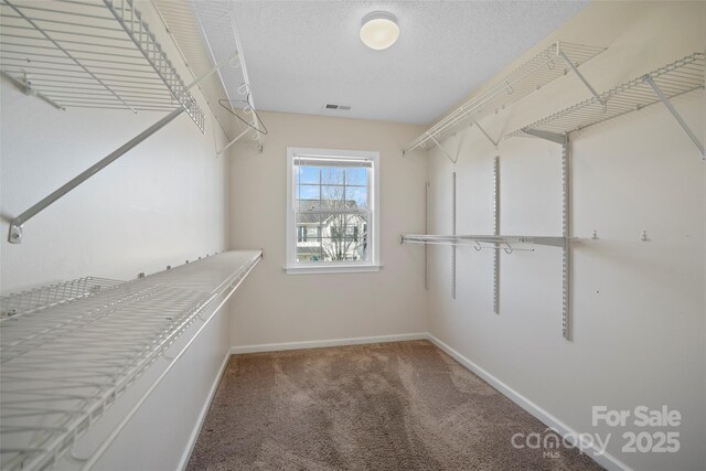 walk in closet featuring carpet floors and visible vents