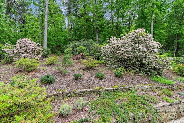 31 Glassy Mountain Dr, Hendersonville, NC 28739 - photo 12