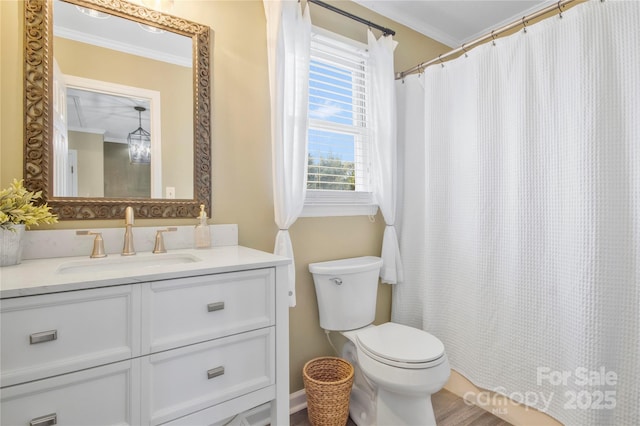 bathroom featuring vanity, toilet, and crown molding