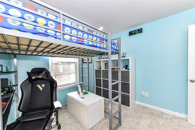 exercise room featuring baseboards and carpet floors