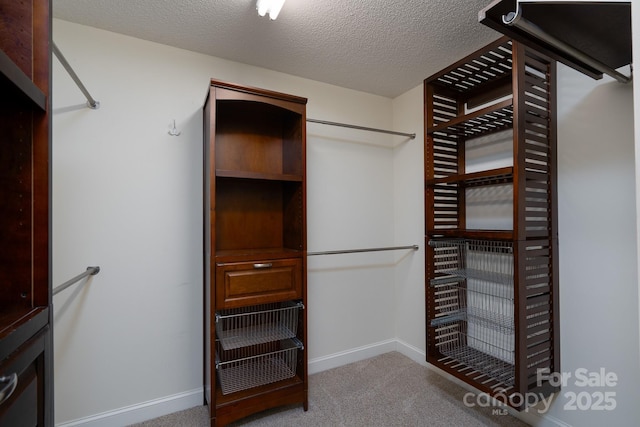 280 Bonaventure Dr, Salisbury, NC 28147 - spacious closet with carpet flooring