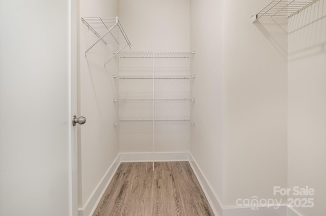 walk in closet with wood finished floors