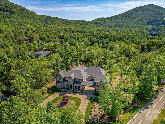 1905 White Tree Trl, Arden, NC 28704 - view of subject property with a forest and mountains