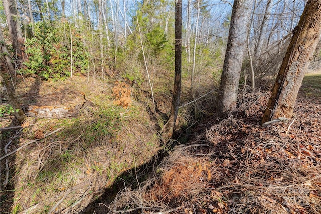 view of landscape featuring a forest view