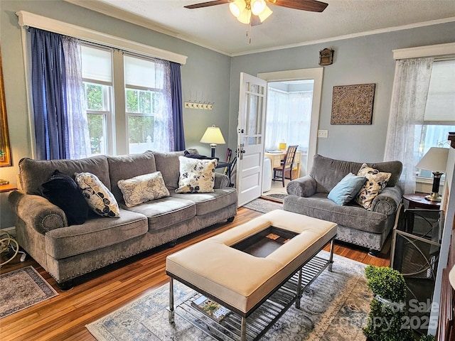 living area featuring crown molding, a textured ceiling, a ceiling fan, and wood finished floors