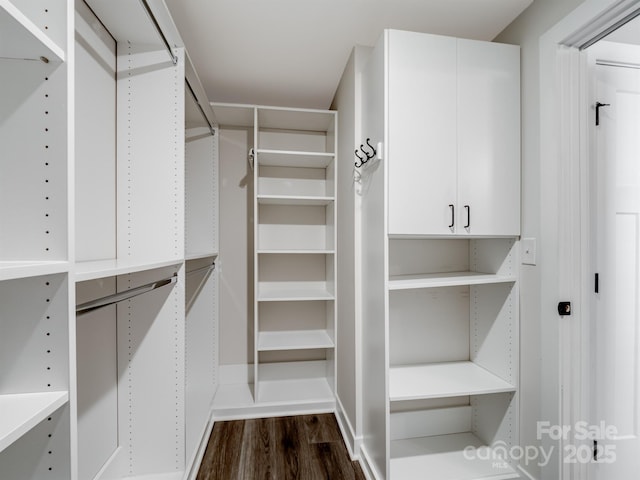 walk in closet with dark wood-type flooring