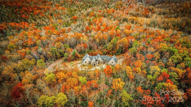92 Bird Creek Estates Rd, Black Mountain, NC 28711 - photo 47