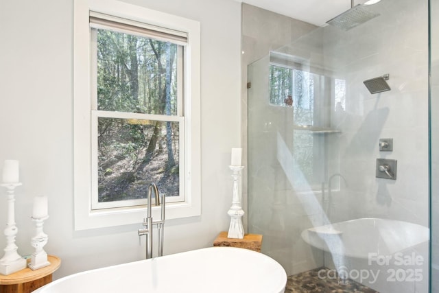 bathroom with a stall shower and a freestanding bath