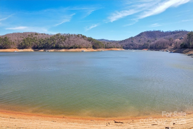 view of water feature featuring a mountain view