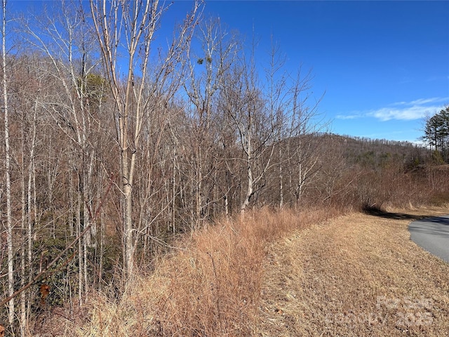 0 Winding Rdg Unit 158, Lake Lure NC, 28746 land for sale