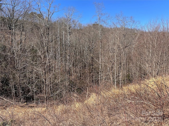 Listing photo 3 for 0 Winding Rdg Unit 158, Lake Lure NC 28746