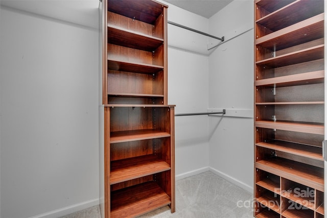 11000 White Stag Dr, Charlotte, NC 28269 - spacious closet featuring carpet