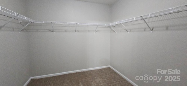 walk in closet featuring carpet