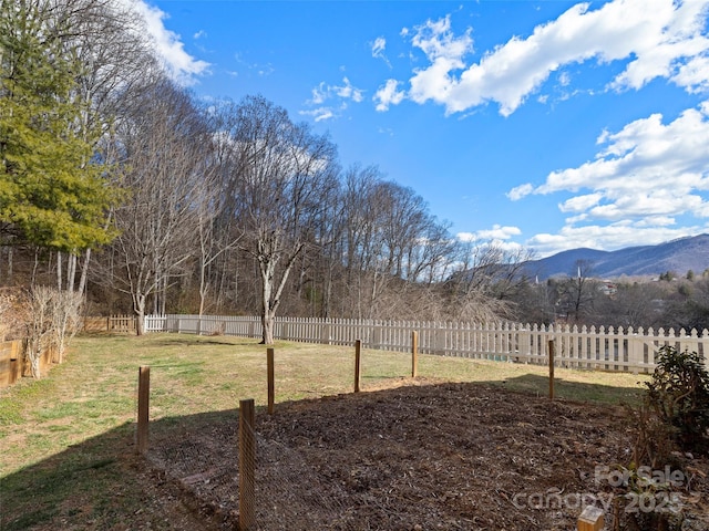 view of yard with fence private yard and a mountain view