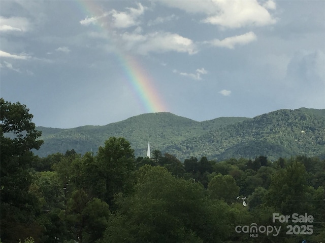 view of mountain feature featuring a wooded view