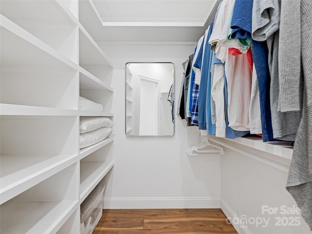 walk in closet featuring wood finished floors