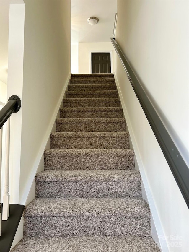 stairs with carpet flooring