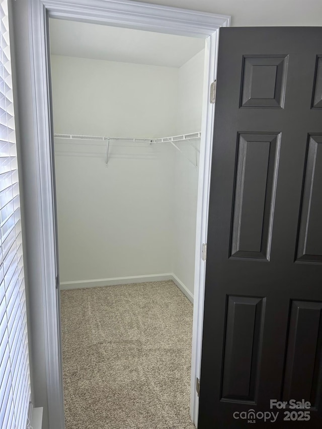 spacious closet with carpet flooring