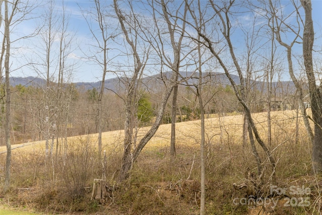 view of landscape with a mountain view