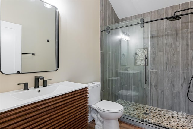 bathroom featuring a shower stall, toilet, and vanity