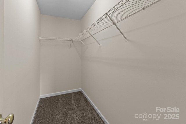 2592 Brackley Pl NW, Concord, NC 28027 - walk in closet featuring carpet