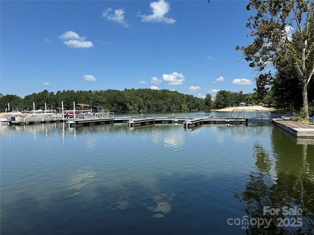 water view featuring a floating dock