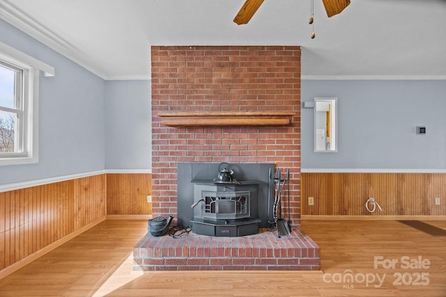 details featuring wainscoting, wood finished floors, a wood stove, and crown molding