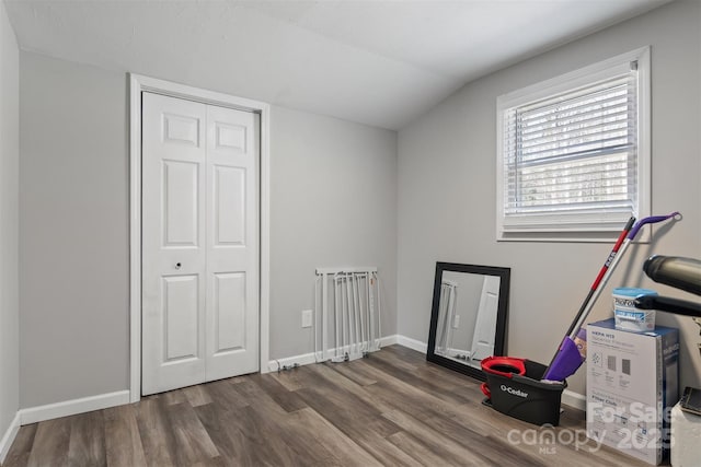 interior space with lofted ceiling, wood finished floors, and baseboards