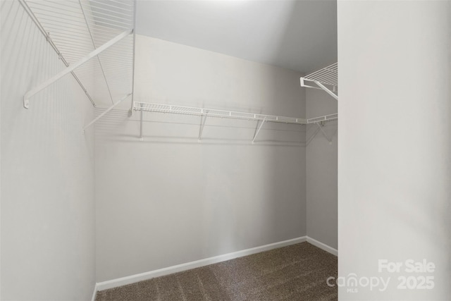 walk in closet with carpet