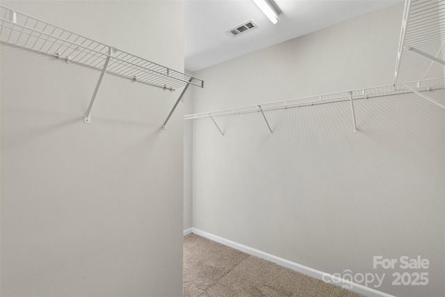 spacious closet with visible vents and carpet floors