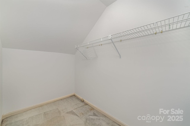 spacious closet featuring light carpet and lofted ceiling