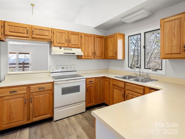 kitchen featuring white electric stove, under cabinet range hood, a sink, light countertops, and light wood-type flooring