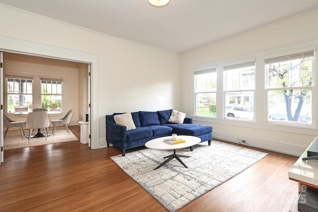 living room with crown molding and hardwood / wood-style floors