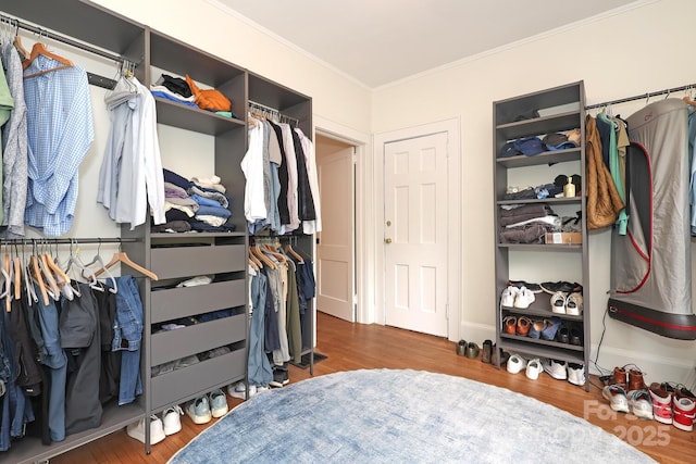 walk in closet featuring wood finished floors