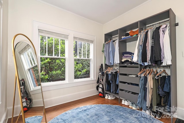 spacious closet featuring wood finished floors