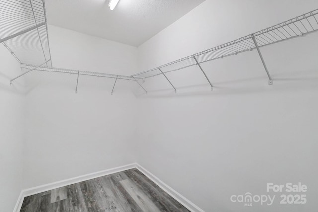 spacious closet featuring wood finished floors