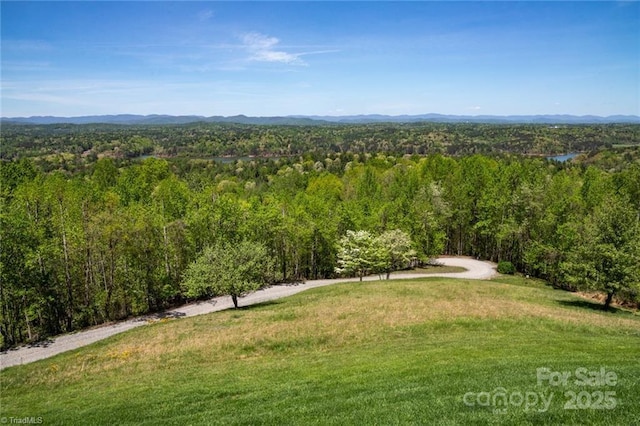 birds eye view of property featuring a wooded view and a mountain view