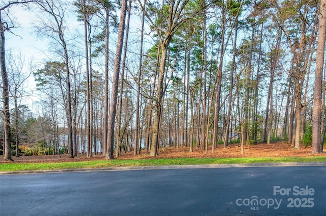 Listing photo 2 for 110 Watch Harbor Rd, Badin Lake NC 28127