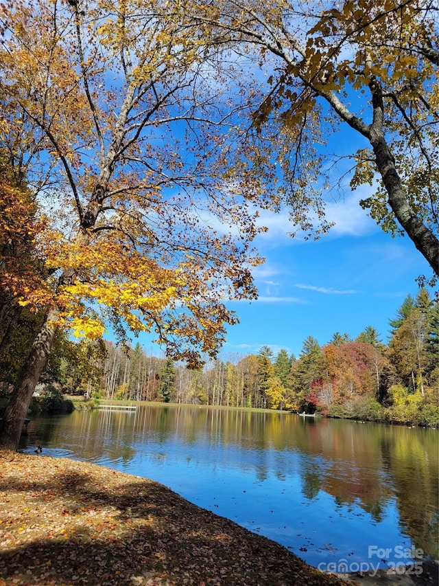 property view of water featuring a forest view