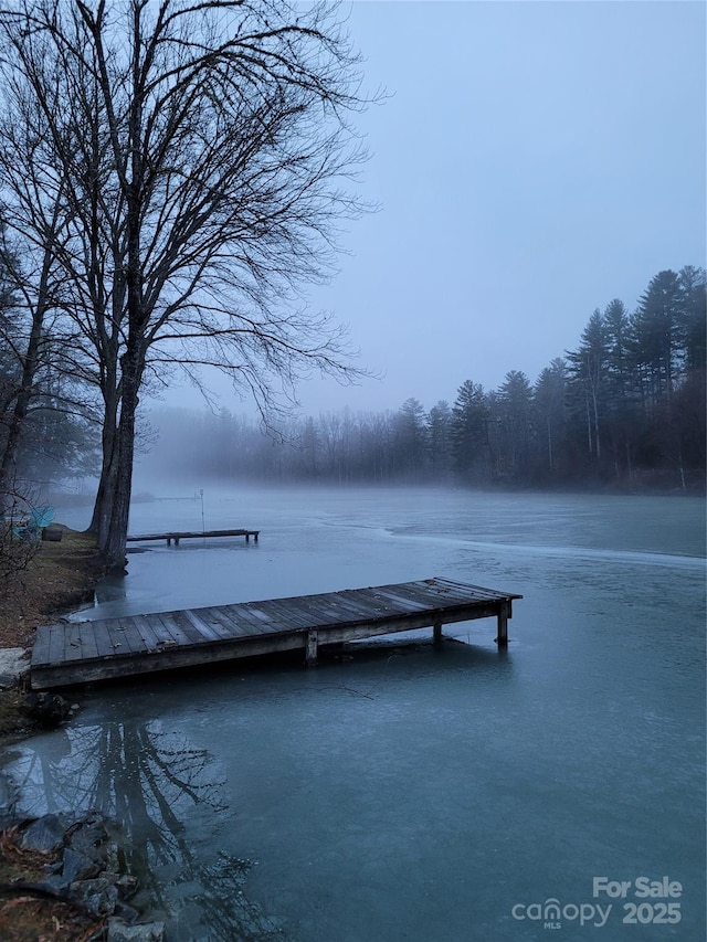 view of dock