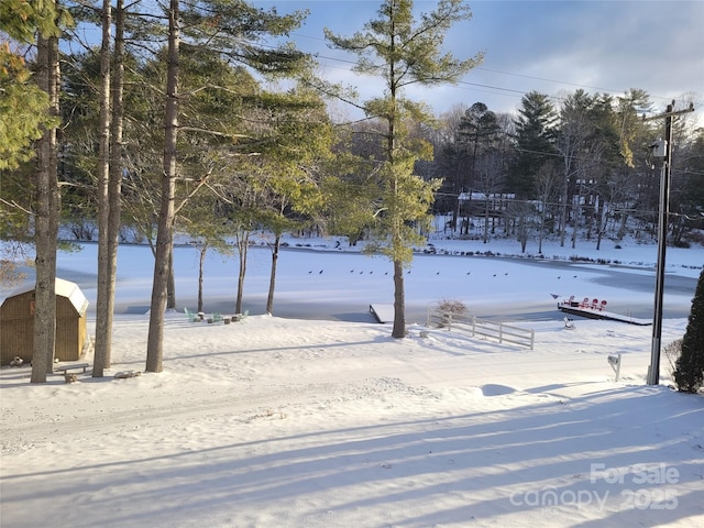 snowy yard with an outbuilding and a storage shed