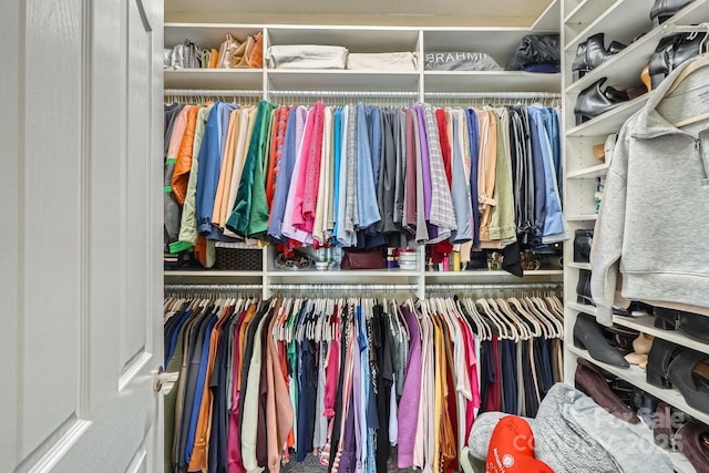 view of spacious closet