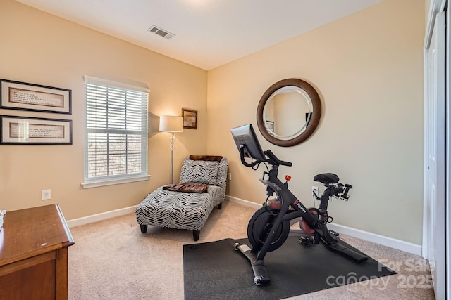 workout area featuring baseboards, visible vents, and carpet flooring