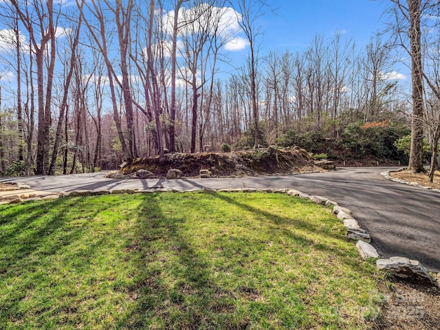 209 Walnut Ridge Rd, Brevard, NC 28712 - view of yard with driveway
